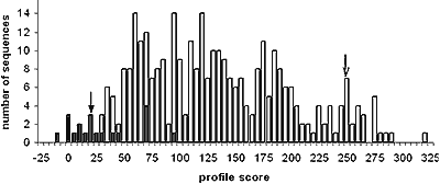 Profile scores for designed and  natural sequences
