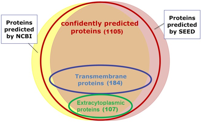 Liberibacter asiaticus proteins