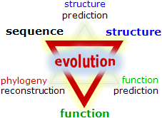 evolution rules!