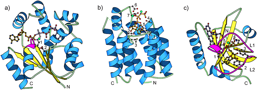 kinase structures