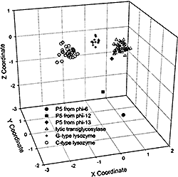 Distance diagram of P5 and lysozyme sequences
