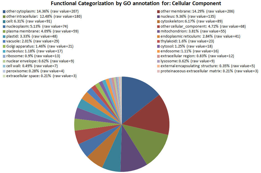 Oops, failed to load picture...