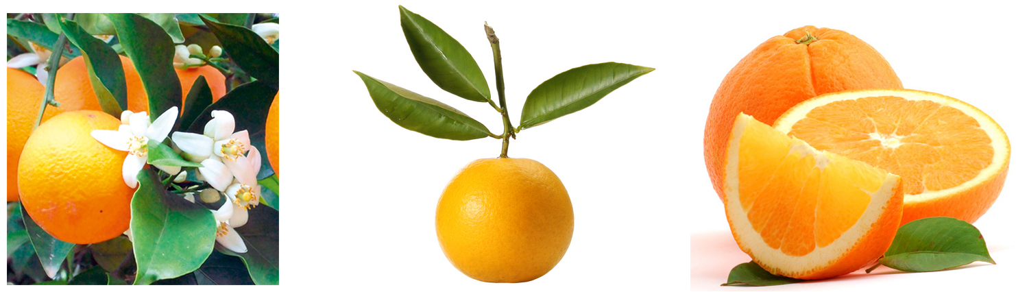 Oops, failed to load picture