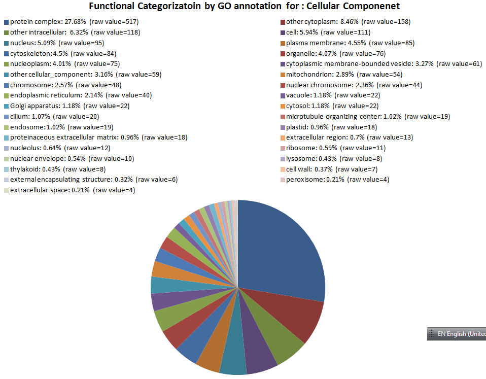 Oops, failed to load picture...