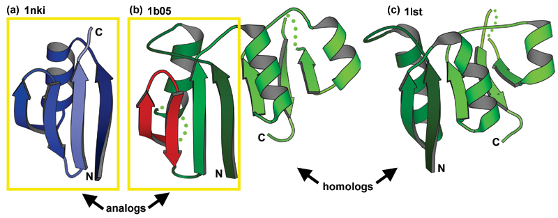 protein motif